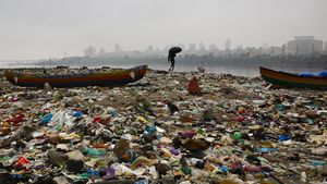 LEFT WONDERING: The Plastics Recycling Lie