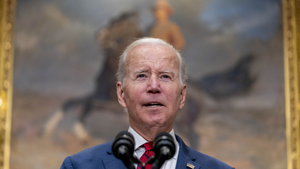 Biden and the DISCLOSE Act